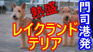 犬連れ車中泊の旅 君に会い隊シーズン2 その７ 門司港友情編