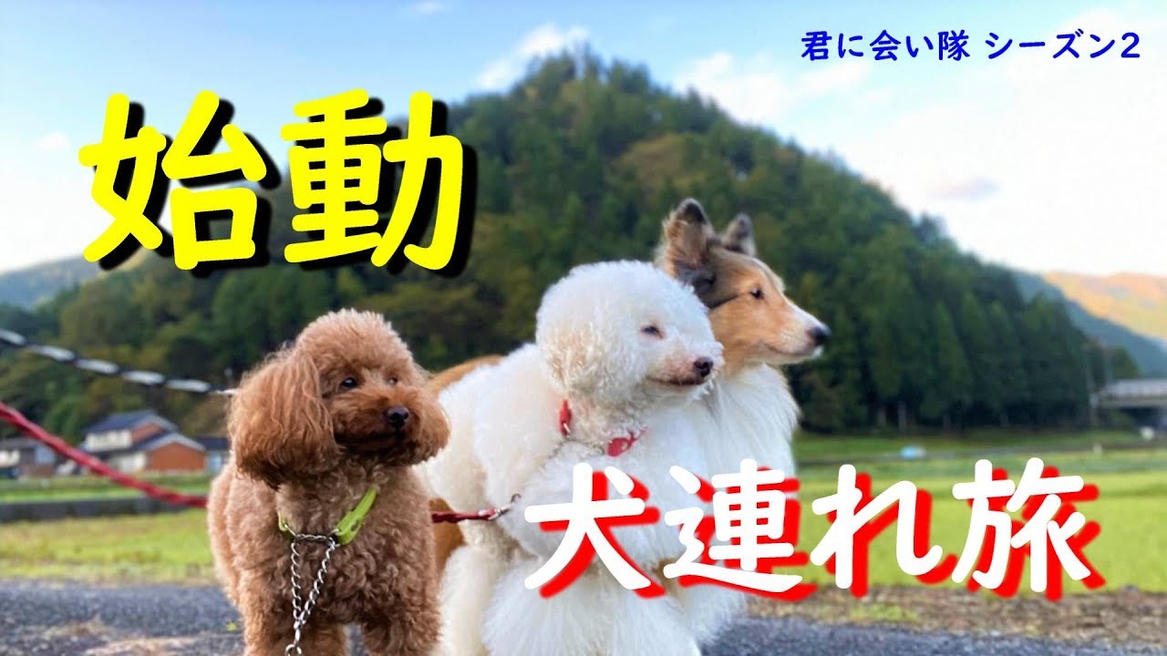 犬連れ車中泊の旅　君に会い隊シーズン2【旅の始まり】