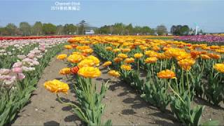 車中泊 車窓　北海道旅先【 2019年春 】総集編②