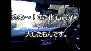 新型リーフオーナーの言いたい放題 化石賞2連覇達成！どうやら3連覇を狙いに行くらしい