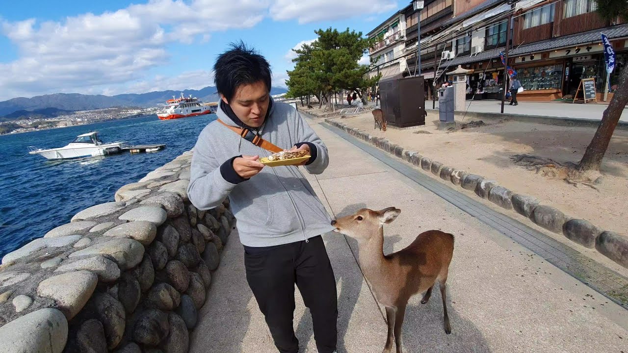 日本一運の悪い2人が巨大なキャンピングカーで博多から岡山に帰る車中泊_後編