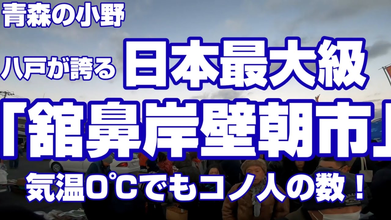 78プラド車中泊　日本最大級「舘鼻岸壁朝市」