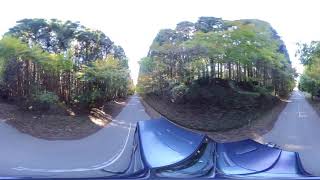 Autumn walk 緩木神社駐車場 5.7K360度　2019-11 ＃216-b