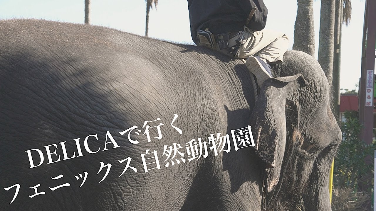 【DELICA】車中泊で行く動物園!