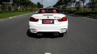 Exhaust Pipes for BMW M4 CGW