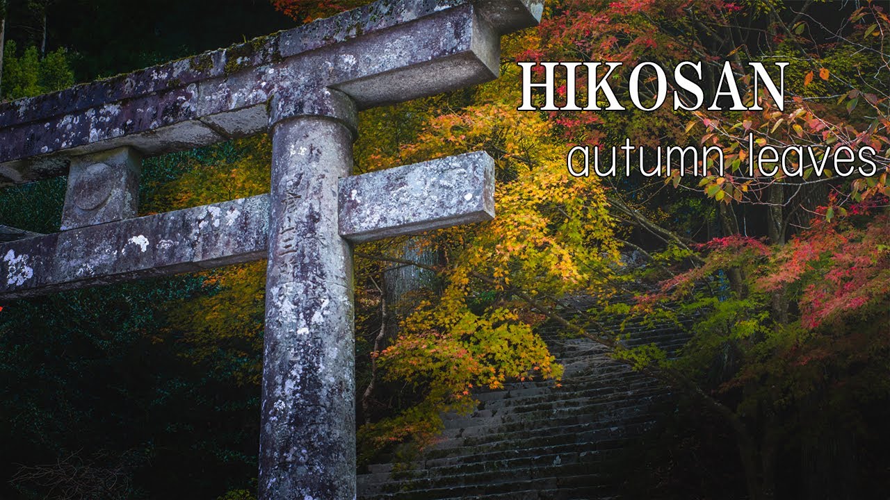 秋の英彦山散策とホットサンド車中飯【車中泊旅】―Hikosan autumn leaves