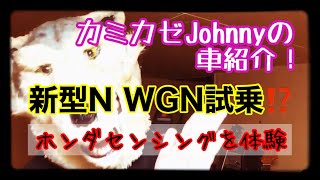 新型N WGN ホンダセンシングを体験⁉️