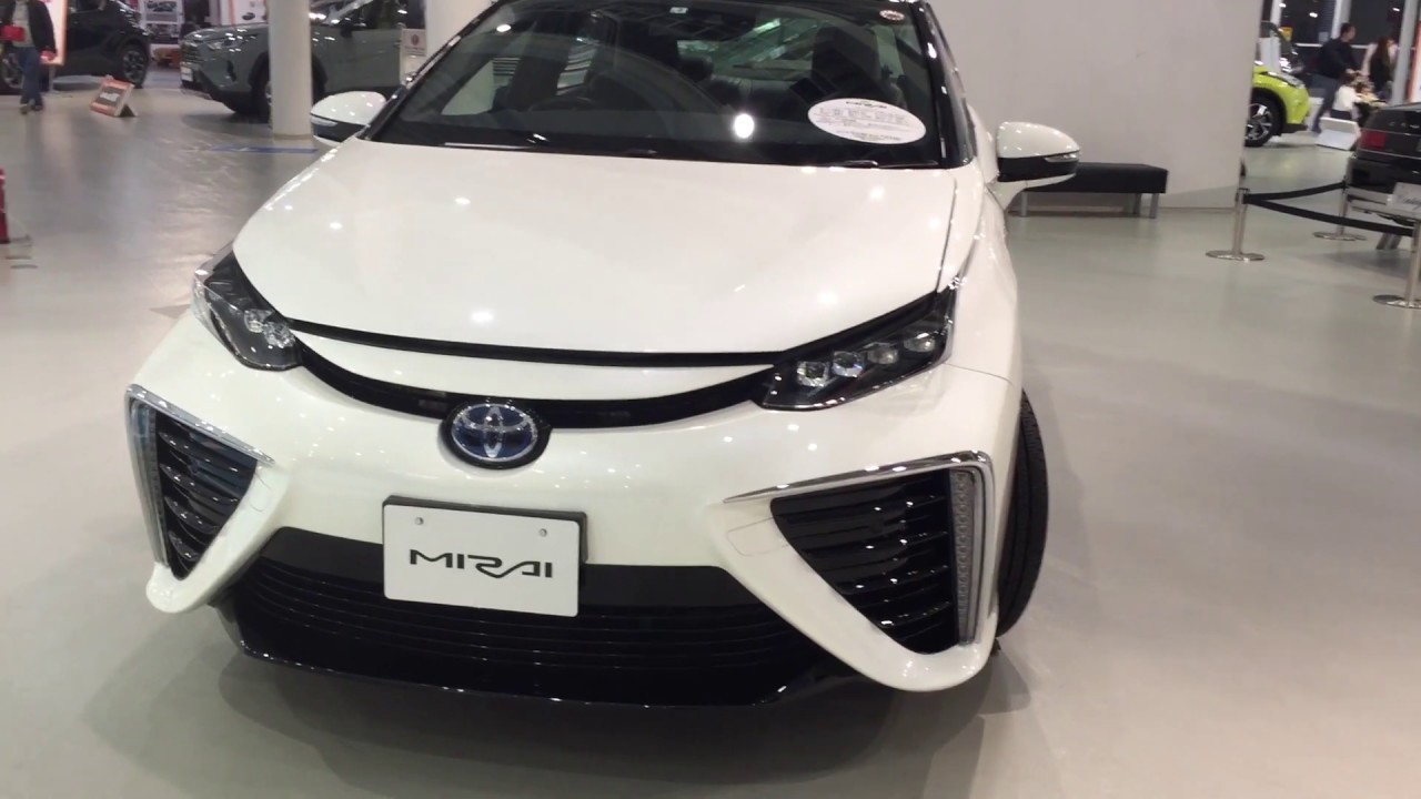 トヨタ   ミライ を見てきた！　【TOYOTA   MIRAI】