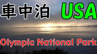 【車中泊 in USA】Potlatch State ParkとOlympic National Parkで森林浴