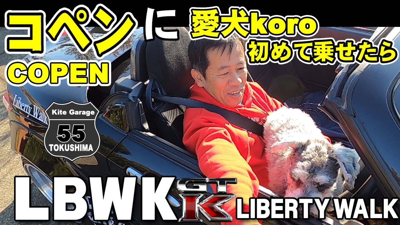 【コペンとミニチュアシュナウザー】初めてオープンカーに愛犬koroを乗せてみた。