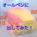 オールペンに出してみた 自動車 全塗装 グッデイなら出来る!!