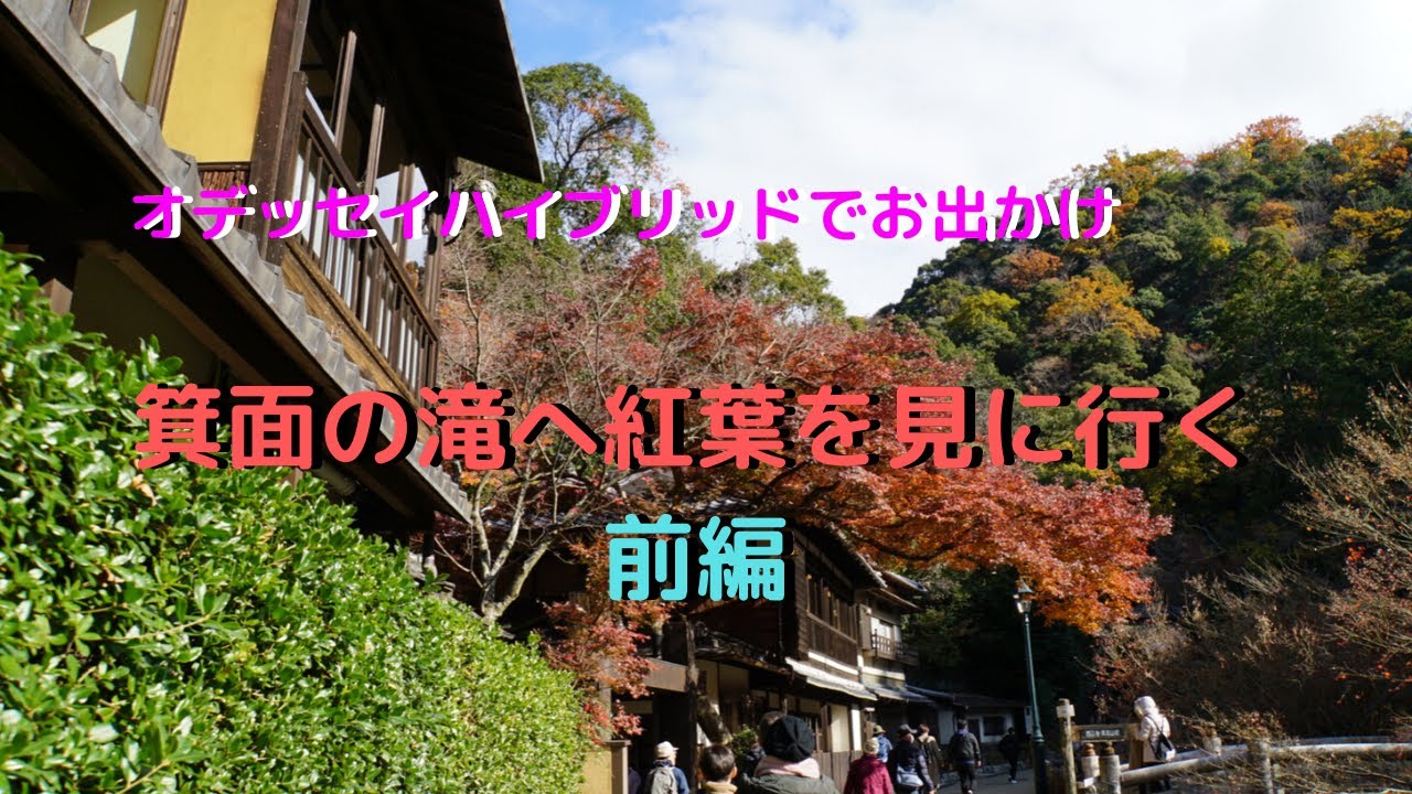 オデッセイハイブリッドでお出かけ！箕面の滝に紅葉を見に行く