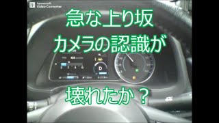 新型リーフオーナーの言いたい放題 エラー表示カメラが壊れたか？