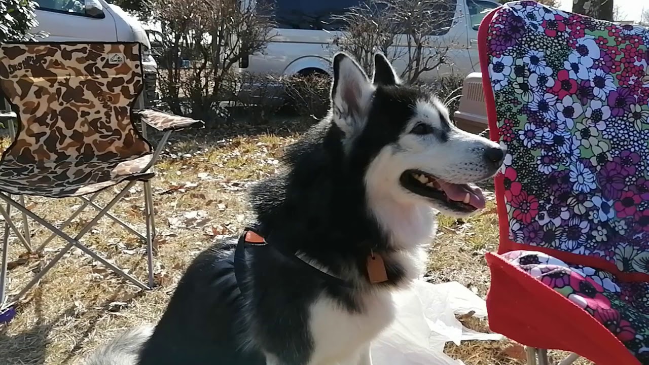 栃木県の蔓巻公園キャンプ場にてキャンピングカー車泊＆焚き火