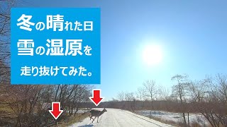 【北海道ドライブ】冬の晴れた日雪の湿原を走り抜けてみた。【道道1060号線・釧路湿原】