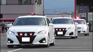 噂の香川県警 激レア覆面パト・車両が大集結!! 2020年頭視閲式リハ Nissan Skyline unmarked Police Car