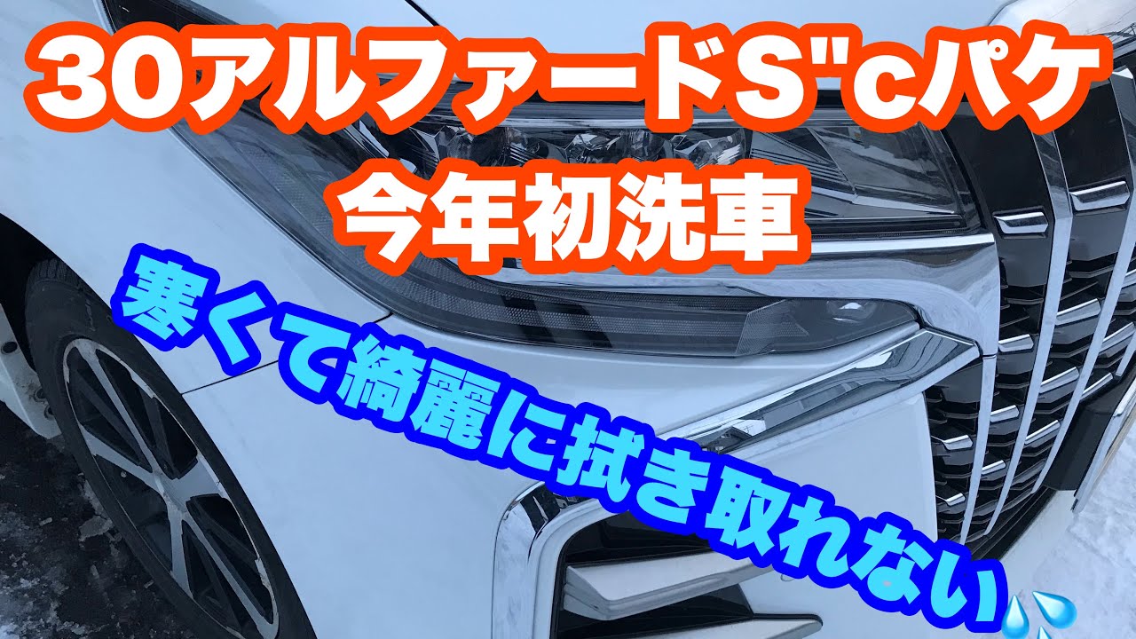 30アルファードS"c後期　今年初洗車