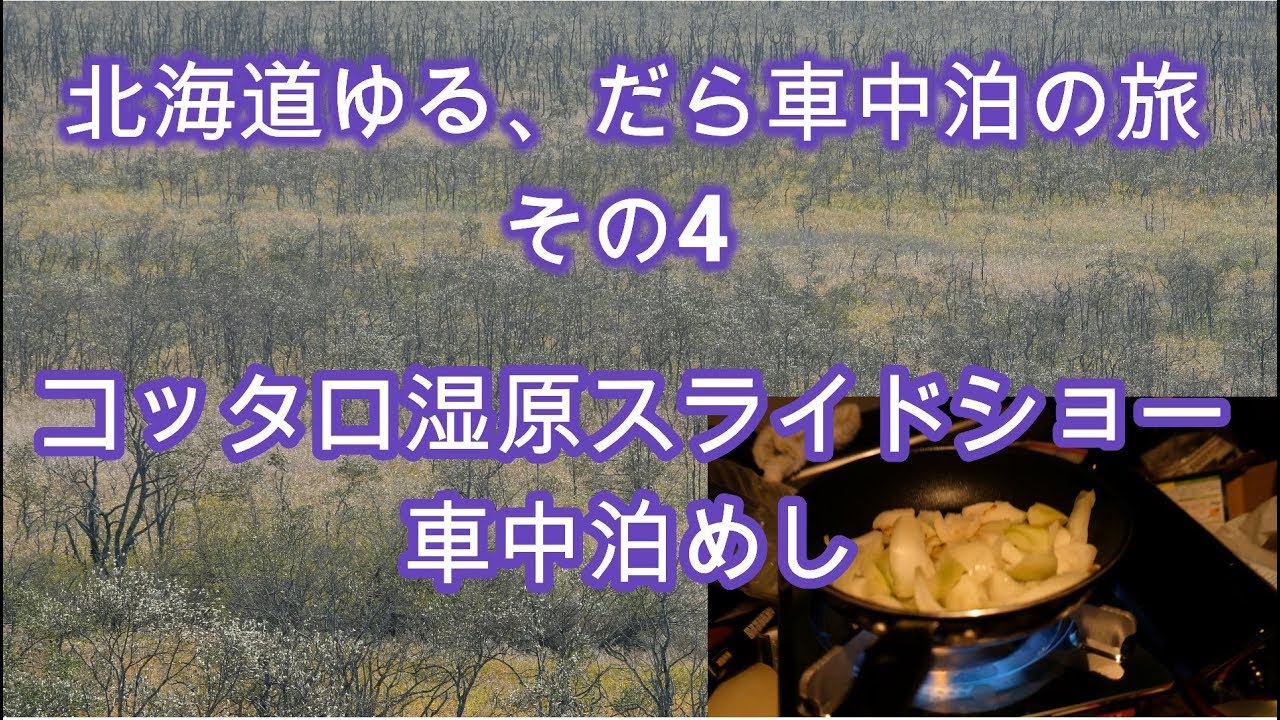 北海道ゆるだら車中泊の旅その4　コッタロ湿原で写真