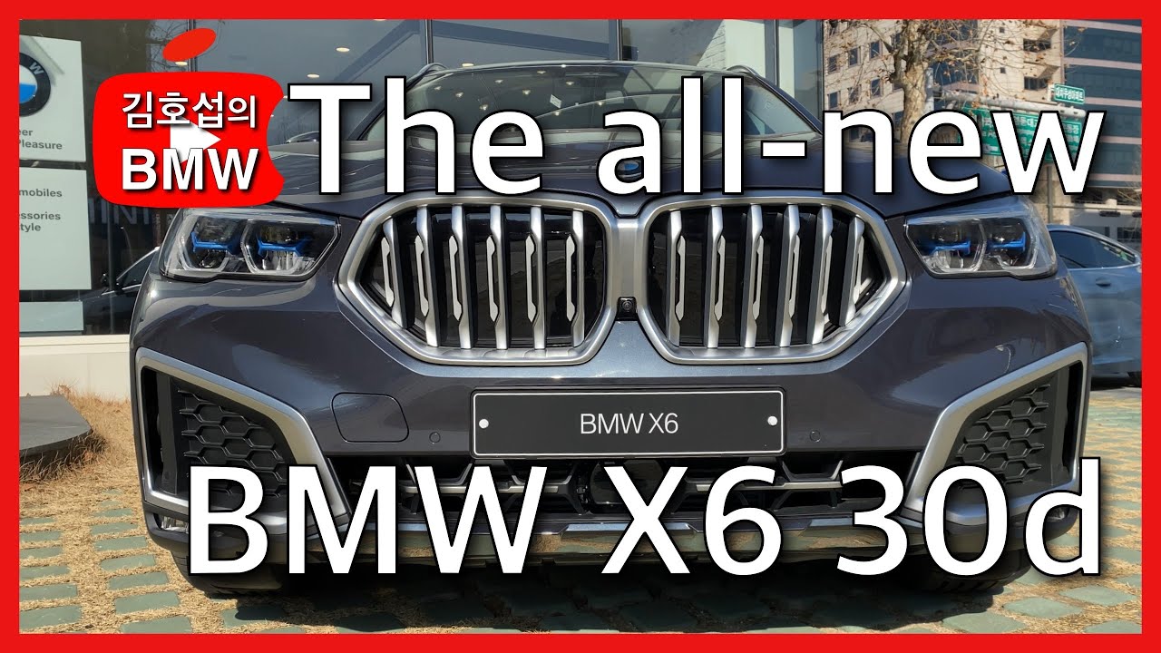 BMW X6 xDrive 30d xLine First Edition (G06) / 아틱 그레이 (C27) / 버네스카 타코라 레드 시트 (MCG7) / 차량 리뷰 (4K)