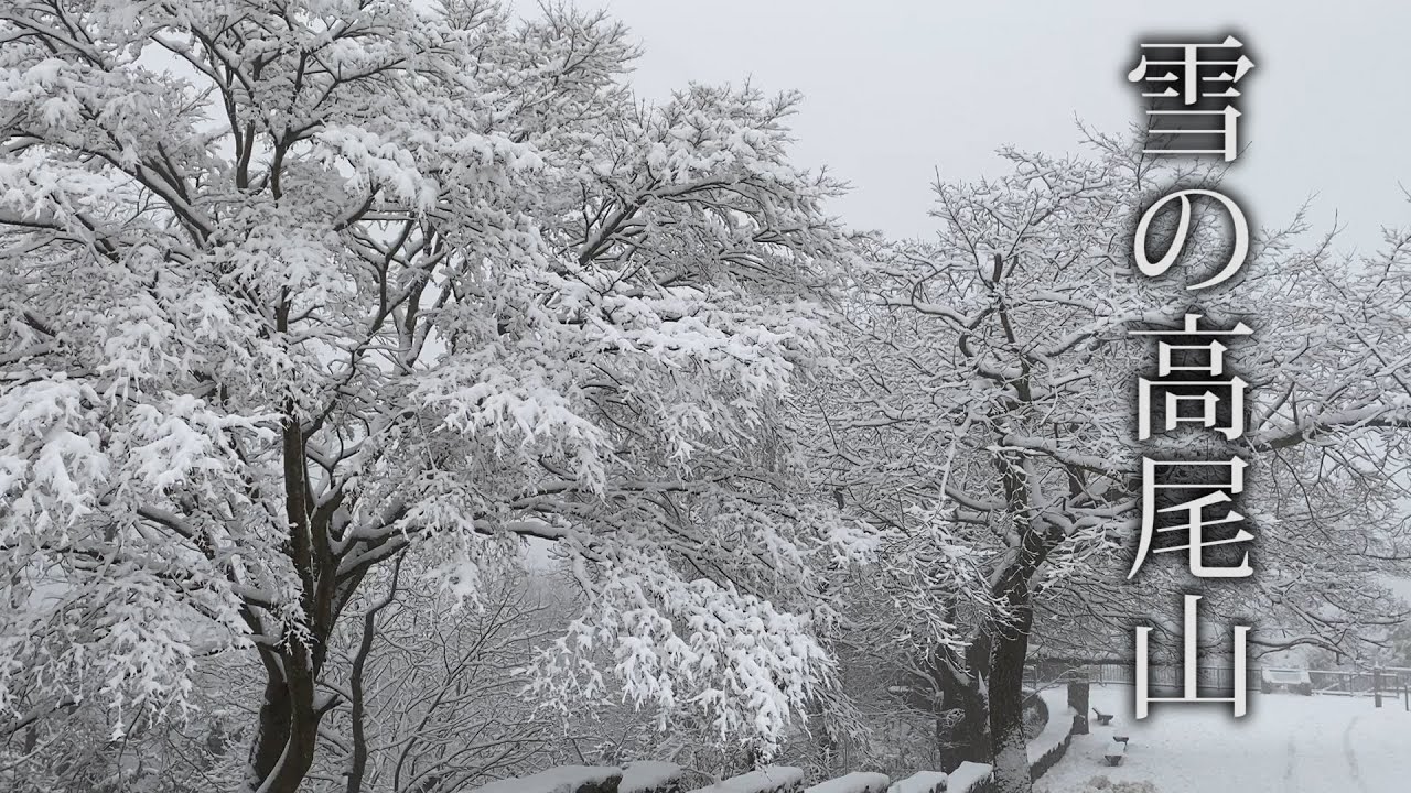 【DAYドライブHONDA VEZEL】南岸低気圧、雪の高尾山へ登ってきた