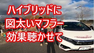 お車拝見します＃広島編「FITハイブリッドで走行会など参加・強化してます」まーささんのFIT