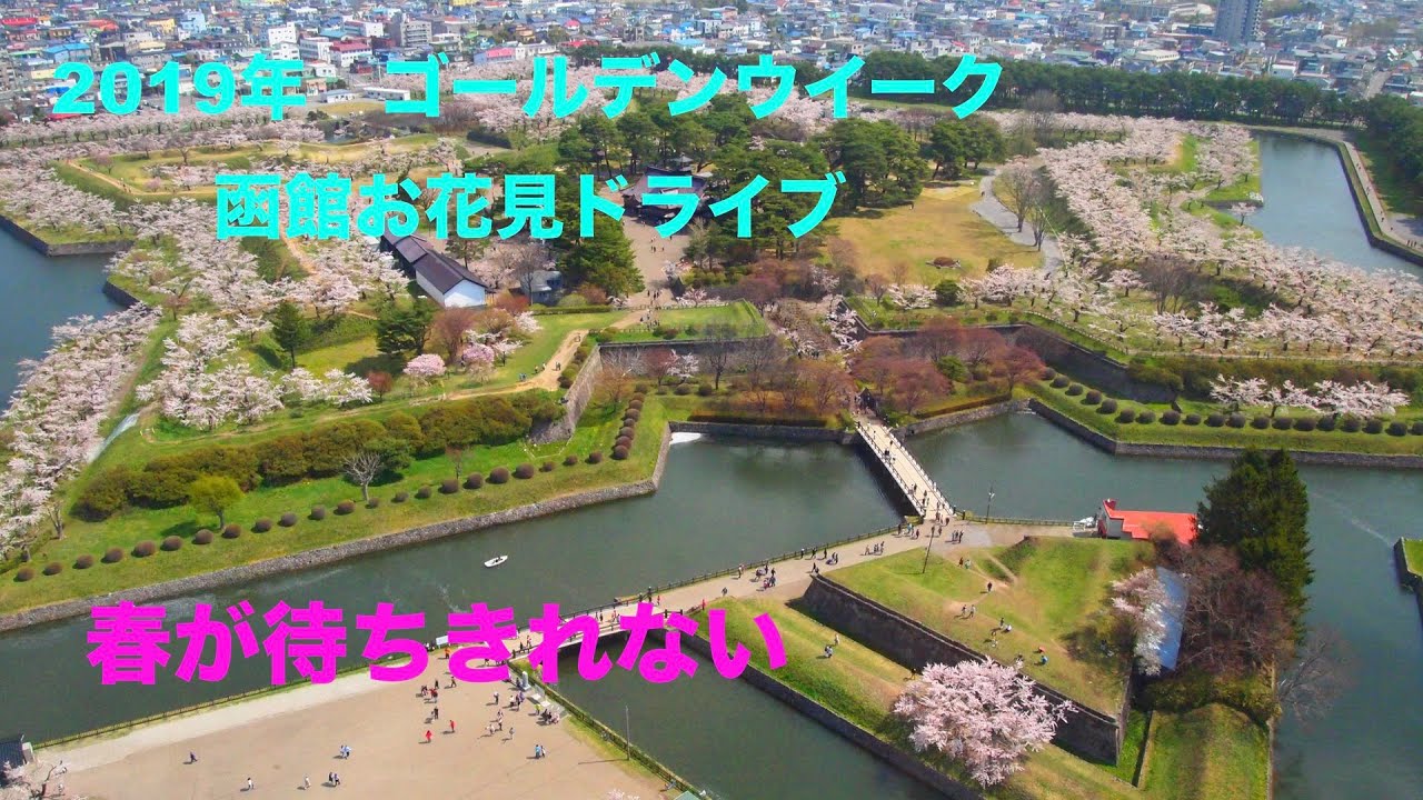 春が待ちきれない　【GW桜ドライブ】北海道・函館
