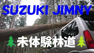 ｼﾞﾑﾆｰJB23 🌲未体験林道🌲