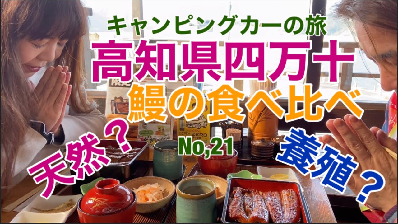 天然❓養殖❓高知 四万十 うなぎ食べ比べ⁉️ キャンピングカーの旅　No,21 四国 高知県編