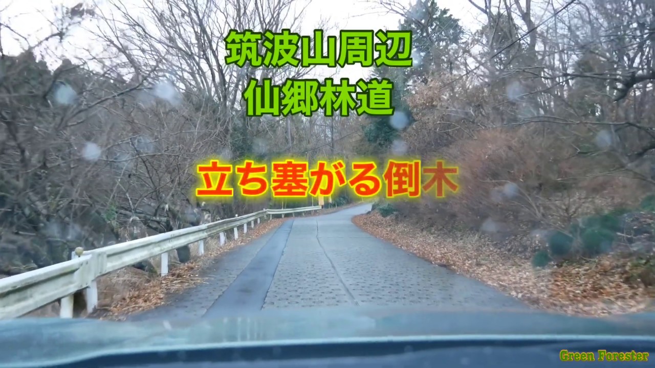 【フォレスター SJ5 Forester 】筑波山周辺林道ツーリング 仙郷林道　2020年1月前半