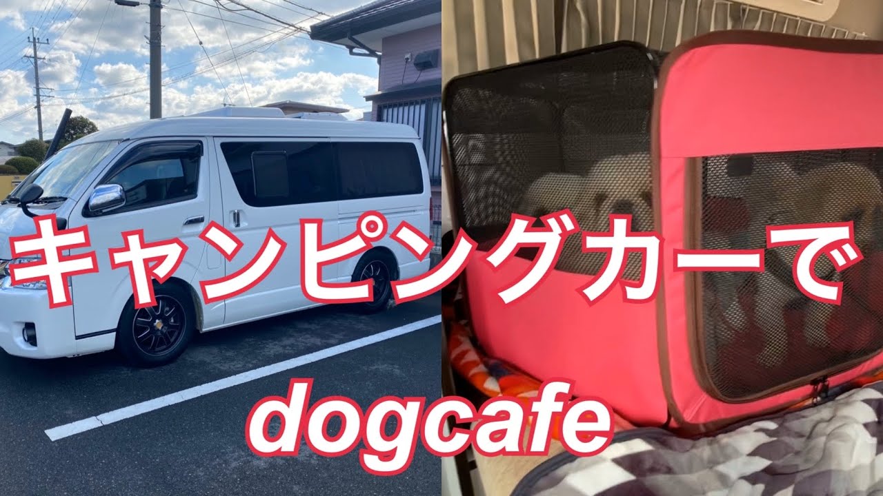 キャンピングカーでdogcafe