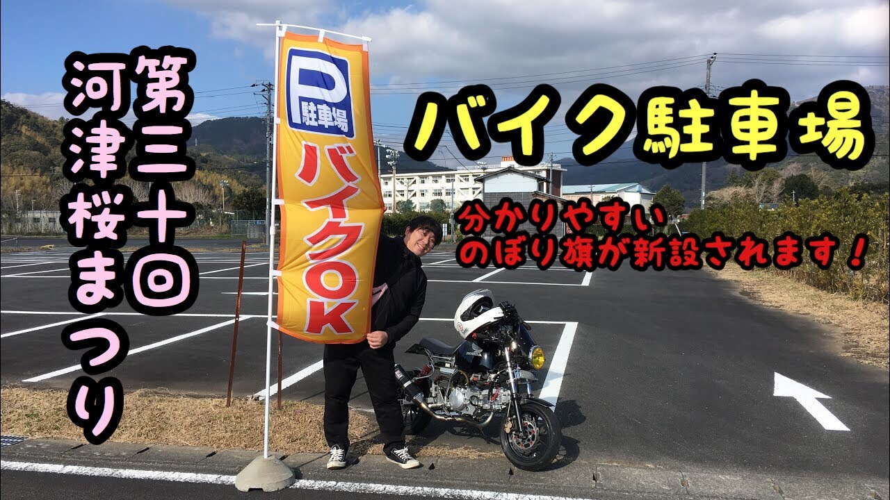 [モトブログ]河津桜まつり バイク駐車場 のぼり旗 [motovlog]4miniゴリラ モンキー 伊豆 河津町 ツーリング