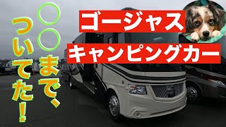 【キャンピングカー紹介】大型バスタイプのキャンピングカーを紹介いたします。