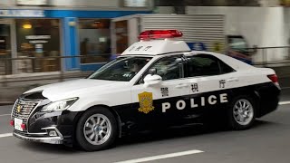 渋谷のスクランブル交差点を直進 警視庁 クラウンパトカー