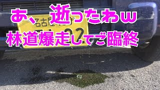 アクティで林道爆走したらご臨終しましたわ　#ラフ動画