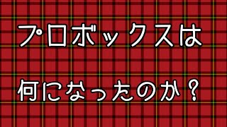 【トミカ改造】プロボックス完成