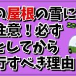 交通事故に繋がります!車の屋根の雪を下ろすべき理由【安全運転】