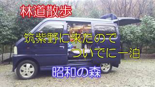 「林道散歩」昭和の森。冬の車中泊経験するため山のふもとの自然公園で車中泊。はたしてどうだったのでしょう。