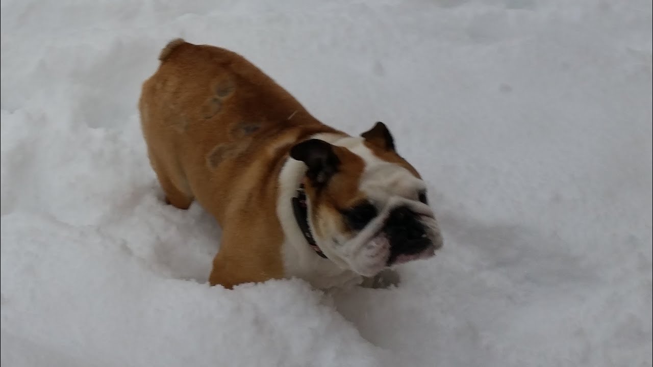 #山中湖#心霊#雪#ドライブ　　　スリップ⚠️注意！