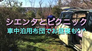 シエンタと１人ピクニック・車中泊用布団でお昼寝も