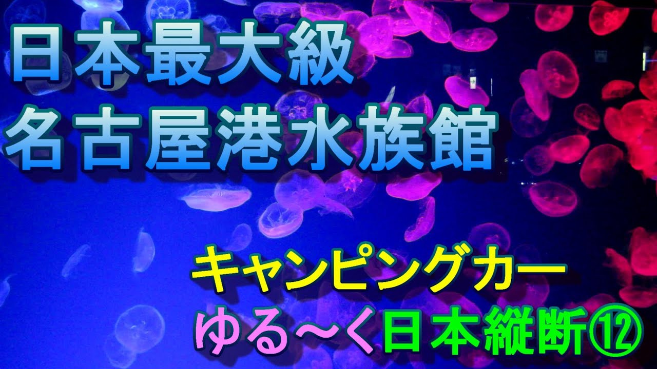 キャンピングカー日本縦断⑫ 日本最大級・名古屋港水族館