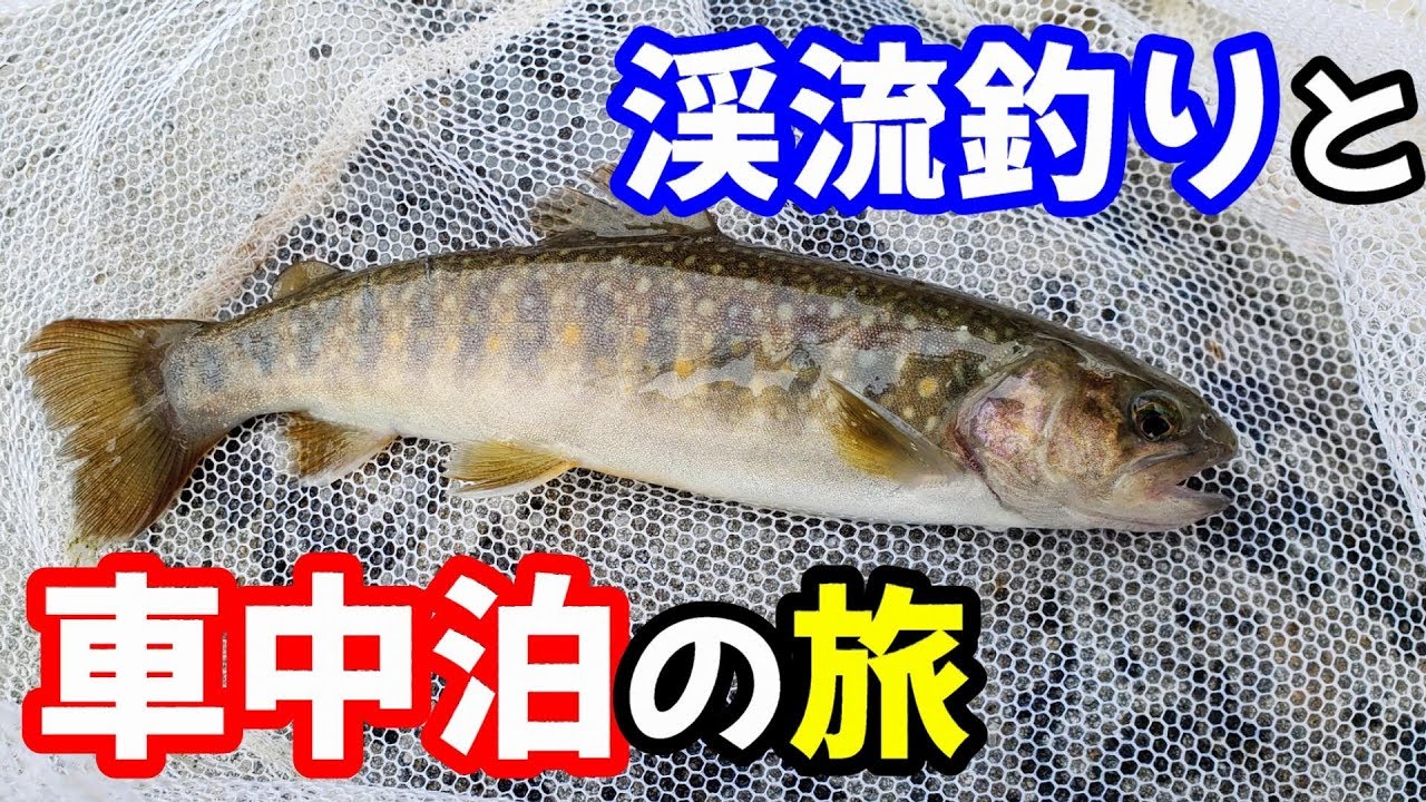 1泊2日・渓流釣りと車中泊の旅～釣った魚でシンプル車中飯～