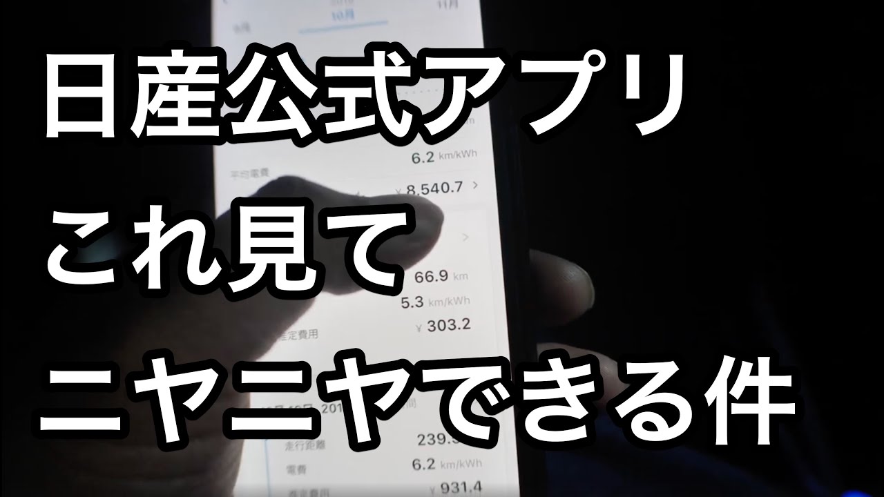 【車中泊・下道で1500キロ70】テスラに追いつけ!日産の公式アプリで走行履歴が見れますよ リーフe+で逝く金沢能登半島の旅