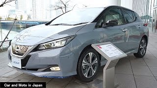 ( 4K ) Nissan Leaf e+ G : Gray / Black