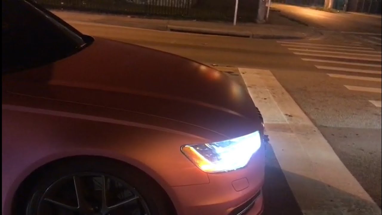 Coyote Mustangs – Audi S8 Great Sounds!