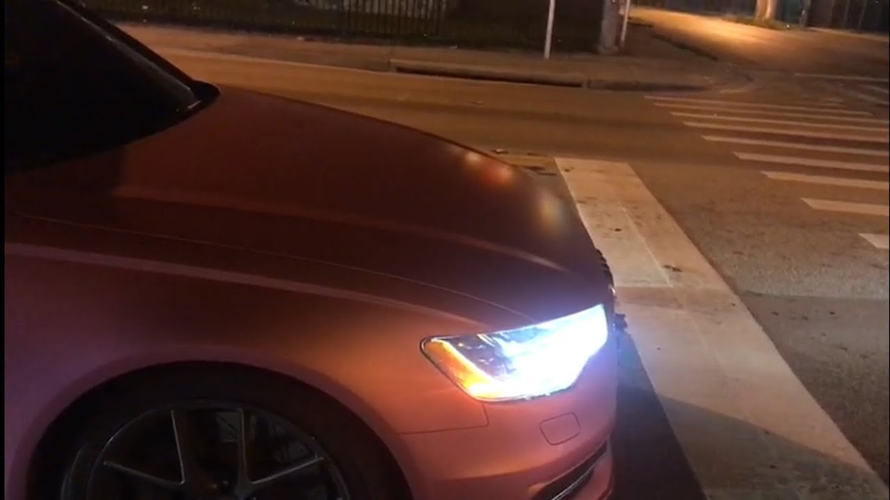 Coyote Mustangs - Audi S8 Great Sounds!