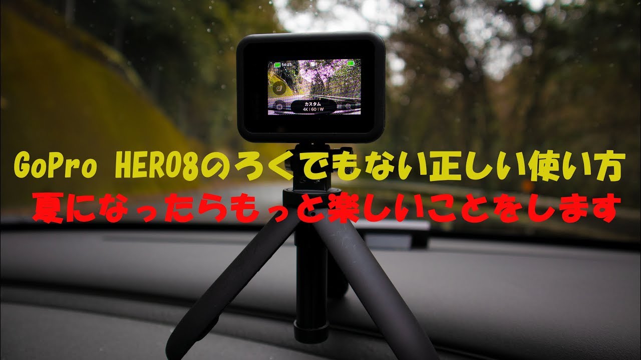 GoPro HERO8 ドライブレコーダー代わりにして他人の粗探ししてます