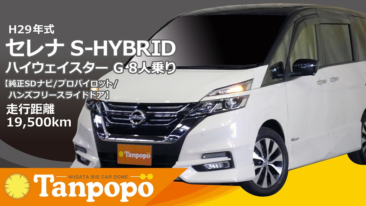 H29年式セレナS-HYBRIDハイウェイスター G 8人乗り【純正SDナビ/プロパイロット/ハンズフリースライドドア】ビックカードームタンポポ（株）川内自動車