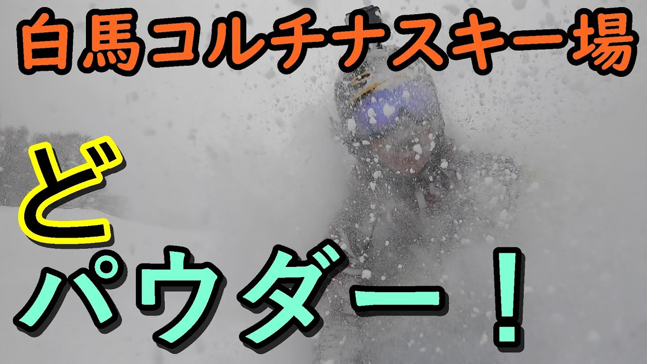 HAKUBA【車中泊】白馬コルチナ　フリースキー　大雪パウダーデイ　裏コル　skiing  JAPOW