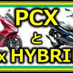 PCXとPCXハイブリッドの違いを高難易度資格保持者が解説する【バイク】