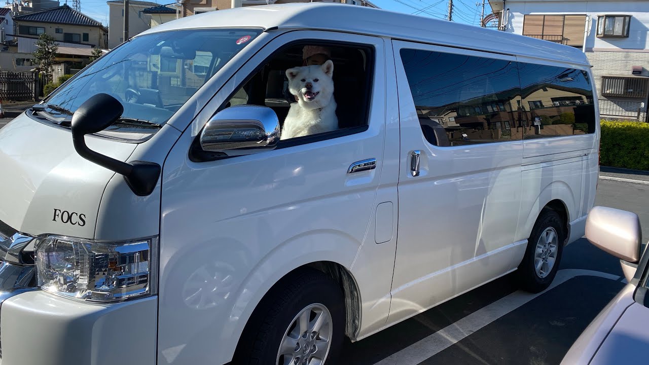 akitadog 秋田犬コハク　キャンピングカーショーに行ってきたました。